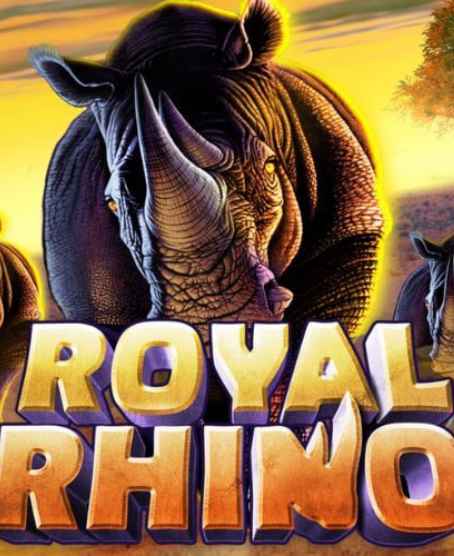 ROYAL RHINO