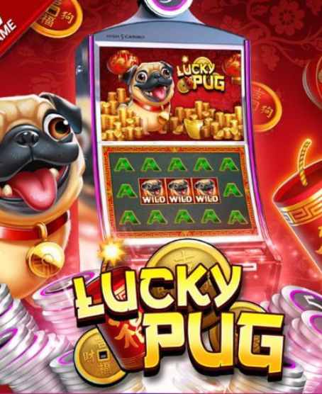 LUCKY PUG